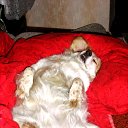 ���� ����, �����-���������, 48 ��� - ��������� 26 ����� 2010 � ������ �������