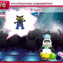 ���� ��������, ������, 45 ��� - ��������� 2 ������ 2011 � ������ �PetLove�