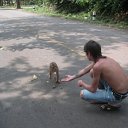 ���� ��������, ������, 43 ���� - ��������� 8 ������� 2012 � ������ �� � ��