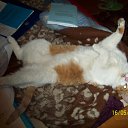 ���� �����, ������, 53 ���� - ��������� 8 ���� 2010 � ������ ���� ���.�