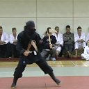 ���� ����, �������, 49 ��� - ��������� 2 ������� 2012 � ������ ���� ����������