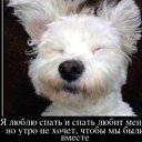 ���� �����, �����-���������, 41 ��� - ��������� 11 �������� 2012