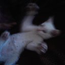 ���� ���4o���(�4-jb)������� �� �����, �����������, 28 ��� - ��������� 5 ������� 2011 � ������ ������....� ��� �� ���