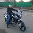 ���� ������, ������, 44 ���� - ��������� 29 ����� 2013 � ������ ���� ����������