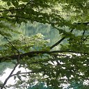 ���� ����, �����-��������� - ��������� 31 ���� 2013 � ������ ���� ����������