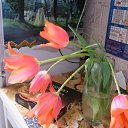 ���� ������, ������������ - ��������� 11 ������ 2012 � ������ ���� �����