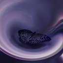 ���� ������, ����������, 49 ��� - ��������� 13 ��� 2012 � ������ ���� ����������