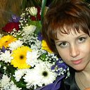 ���� �����, �������, 43 ���� - ��������� 13 ������� 2011 � ������ ���� ����������