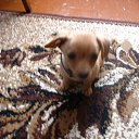 ���� ������, ������, 60 ��� - ��������� 28 ���� 2011 � ������ ���� ����������