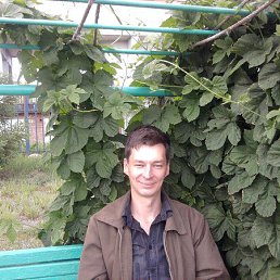 �������, ����-�����������, 48 ���