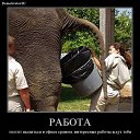 ���� ���������, ������������� - ��������� 16 ������ 2012 � ������ ��������