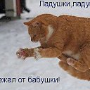 ���� Aladin, ������� - ��������� 12 ����� 2013 � ������ ���� ����������