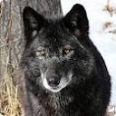 ���� �������, �����-���������, 45 ��� - ��������� 26 ��� 2012 � ������ ���� ����������