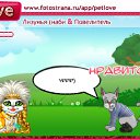   , , 67  -  26  2010   PetLove