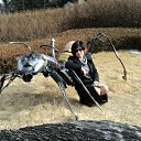 ���� �������, ���������, 52 ���� - ��������� 8 ������� 2012 � ������ ���� ����������