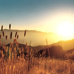 ���� ���������, �����-���������, 47 ��� - ��������� 25 ������ 2012