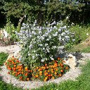 ���� ������, ������������ - ��������� 3 ��� 2012 � ������ ���� ����������