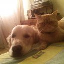 ���� �������, �����, 63 ���� - ��������� 4 ������� 2012 � ������ ���� ����������