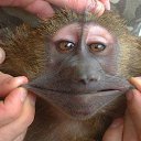 ���� ������, ����������, 40 ��� - ��������� 25 ����� 2010 � ������ �����������