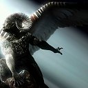 ���� ����, ����, 38 ��� - ��������� 20 �������� 2011 � ������ ��������