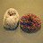 ���� Magdalena, �����-��������� - ��������� 21 ������� 2011
