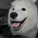 ���� ������, �����, 50 ��� - ��������� 4 ������� 2011 � ������ �PetLove�