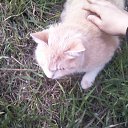 ���� ������, ��������, 59 ��� - ��������� 1 �������� 2010