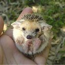 ���� ����. ��������� �� ��!, ������, 72 ���� - ��������� 30 ���� 2011 � ������ ������