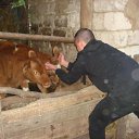 ���� �����, ����, 43 ���� - ��������� 9 ������ 2011 � ������ ���� ����������