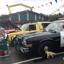 ���� �����, �������� - ��������� 19 ����� 2013 � ������ ���� ����������