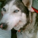  , -, 67  -  18  2012   