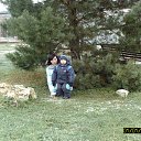 ���� �����, ������, 35 ��� - ��������� 29 ������ 2012 � ������ ���� ����������