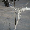 ���� �����, ��������, 40 ��� - ��������� 30 ������ 2011 � ������ �������