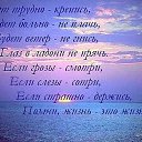 ���� ����, ����������, 36 ��� - ��������� 31 ������ 2011