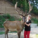 ���� ������, ����������, 60 ��� - ��������� 20 ���� 2012 � ������ ���� ����������