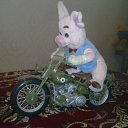 ���� ������, ������, 34 ���� - ��������� 5 ������ 2010 � ������ ���������� ������