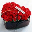 ���� �������, ������ - ��������� 5 ������� 2013 � ������ �������