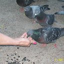  ***Anomaly***, - -  11  2011   