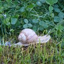 ���� ������, ��������, 47 ��� - ��������� 27 ������ 2012 � ������ ���� ����������