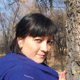 ������, 39 ���, �������