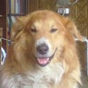 ���� �����, �����-���������, 52 ���� - ��������� 1 ������� 2012 � ������ �������