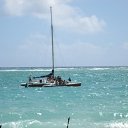 ���� �����, �����-���������, 42 ���� - ��������� 8 ������ 2009 � ������ �������