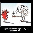 ���� Cfyz, ����, 38 ��� - ��������� 7 ������� 2012 � ������ ���� ����������
