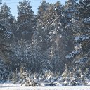 ���� �������, �������, 40 ��� - ��������� 1 ����� 2011 � ������ ���������� - ������������� " ������� "�