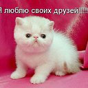 ���� �������, ������� - ��������� 16 ������ 2012 � ������ ��������� ���������
