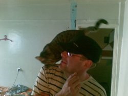 ����, �������, 46 ���