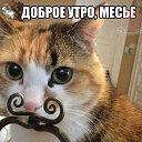 ���� ������, ������-��-����, 47 ��� - ��������� 6 ���� 2013 � ������ ������ ��������