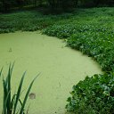 ���� ������, ��������, 47 ��� - ��������� 27 ������ 2012 � ������ ���� ����������