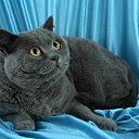 ���� Murka, �����, 31 ��� - ��������� 18 ������� 2009 � ������ ���� ������