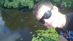 ������, ���������, 36 ���